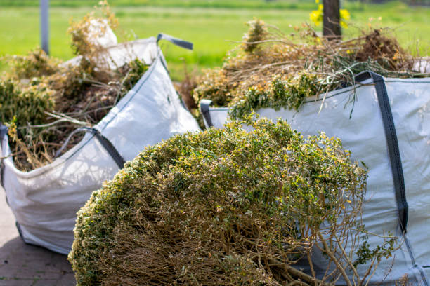 Retail Junk Removal in Wabasha, MN